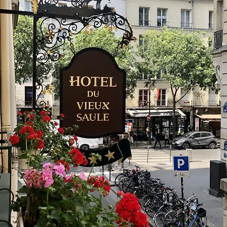 Hôtel Du Vieux Saule-3